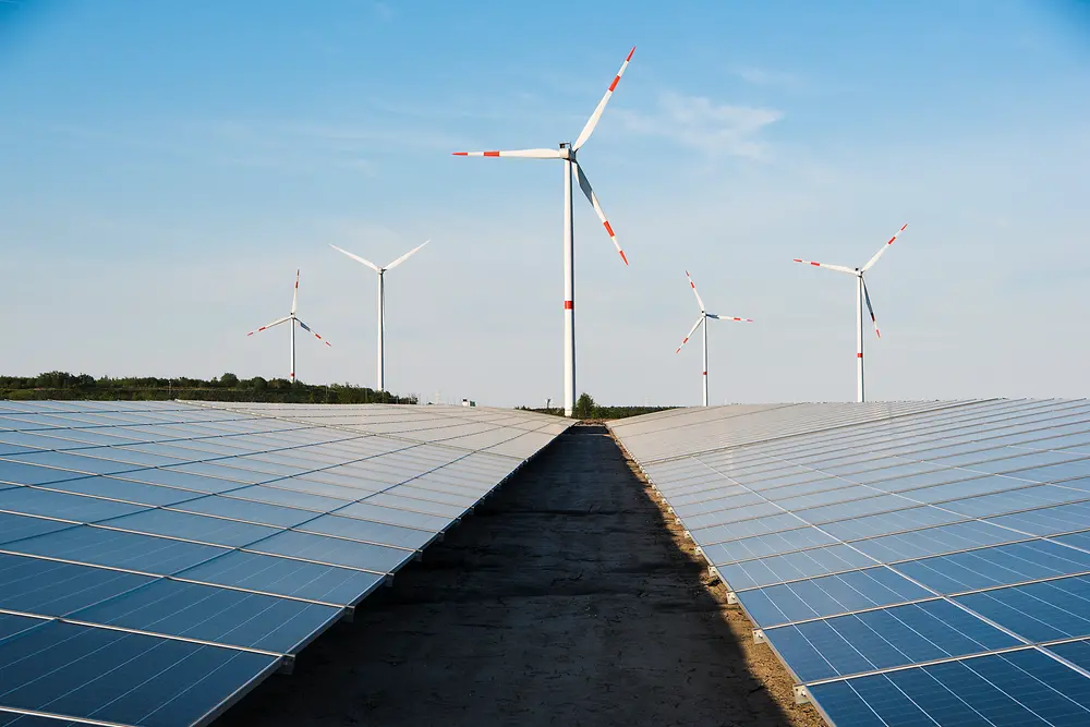 Solar panels and wind turbines